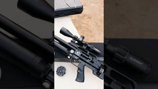 Download lagu El rifle pcp karma EQ .30, el pcp mas poderoso y preciso ? mp3