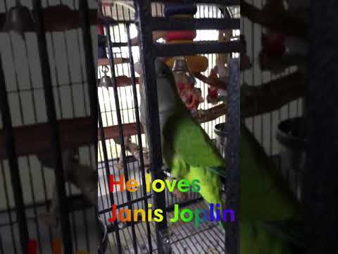 Birdy and Janis Joplin