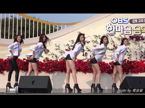 [14.09.27] EXID 매일밤 직캠(강화고려인삼축제) by 헤임달