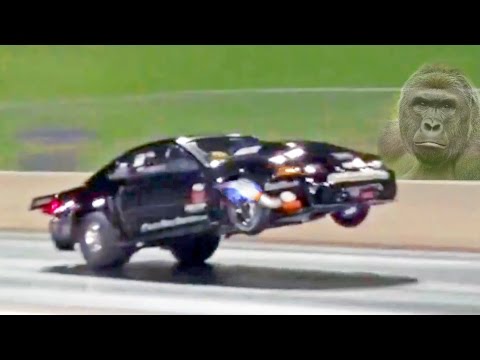 WHEELS UP For Harambe - FLYING Turbo Mustang! Video