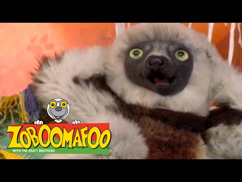 Zoboomafoo 212 - Super Lemur (Full Episode)