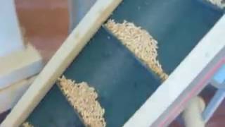 Agricultural conveyor for sale - Image 4 | Machineryline GB New agricultural conveyor | Image 4 - Machineryline