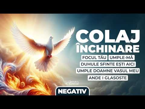 Negativ - COLAJ INCHINARE - Andrei Stoica 2024