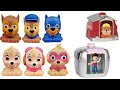Nat And Essie Play With Paw Patrol Squishy Mashems Super Pups