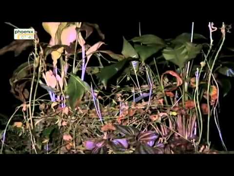 Armageddon - Der Einschlag - Wissenschaft trifft Fiktion - Teil 4