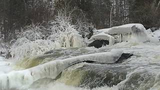 preview picture of video 'Sauble Falls, Ontario, Canada - Resilient Coho Salmon... five months and still trying!'