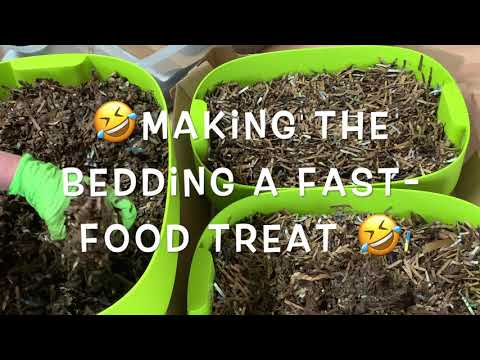 Worm Farm Stacking System Hack PART 1 LOAD Mix Precomposted Bedding DrainWork Ready For Worm Sharing