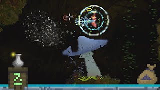 The epic hunt for insect husk | 19