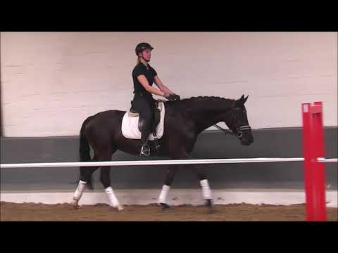 CHARMANTA 5j. v. Christ - Dancier 15.000,- Euro