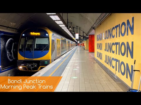 Sydney Trains Vlog 1887: Bondi Junction - Morning Peak Trains