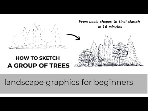 How To Sketch a Group of Trees 🌲🌳🌲✍🏻| Drawing Tutorial