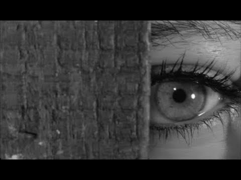 Non smettere mai di cercarmi  Noemi