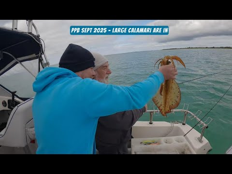 PPB SEPT 2025 LARGE CALAMARI ARE IN