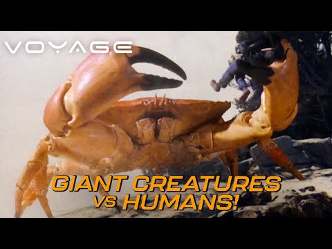 Best Stop-Motion Creatures From Mysterious Island | Voyage