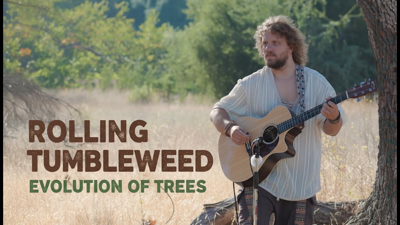 Promotional video thumbnail 1 for Evolution of Trees