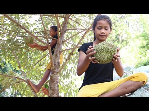 Survival skills: Find food meet natural durian fruit for eat - Natural durian eating delicious #12 Video