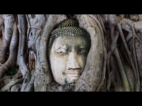 NL Retreat September 2021 - Day 3 of 3 - MN 9 Sammādiṭṭhi Sutta - Dependent Origination