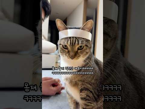 부묘님께 카네이션 드리기