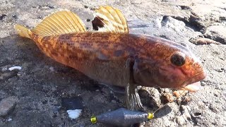 Ссылка