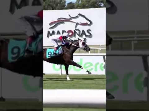 Entrevista al Propietario de Girona Fever luego de ganar el Clásico José Serrato en Maroñas #Shorts