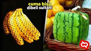 Download lagu Sekali Gigit Bayar Miliaran Rupiah! Buah Premium ini Jadi Buah Termahal Di Dunia mp3