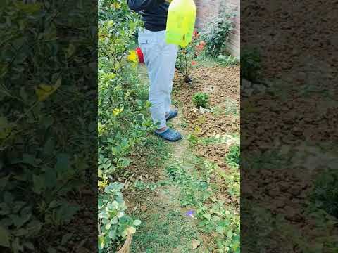 how to enjoy your day and life/ life changing motivational video/ @sanjibchakrabortymotivation