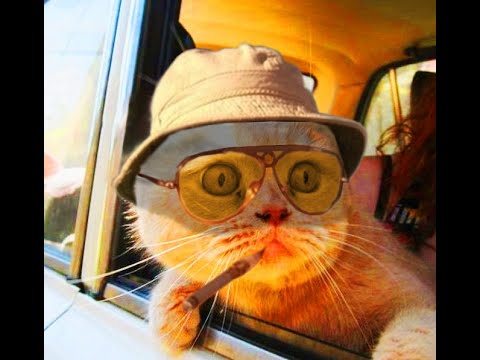 Pablo Moriego – Good Bye