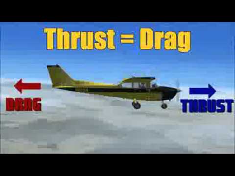 The Aerodynamics of Flight