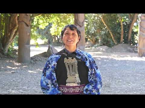 Wiñol txipantu: ¿A qué se le hace rogativa? ¿Qué actividades se realizan?