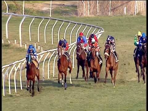 Galoppo 26/01/2019 - 4ª corsa