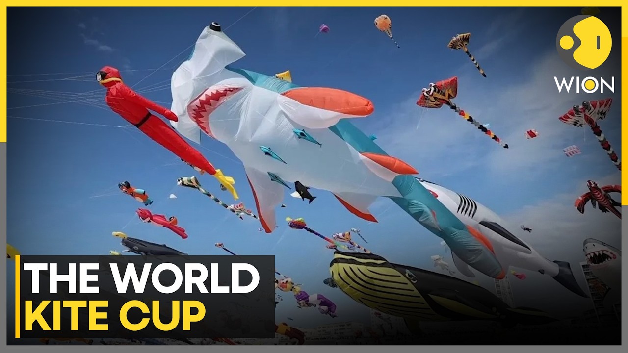 International Kite Festival Kicks Off in Berck-Sur-Mer on French Atlantic Coast | WION News