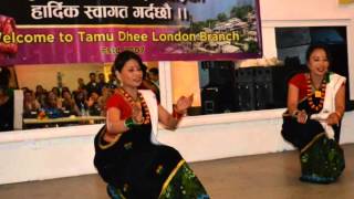 TDLB Nepali Mela 2014 Dance Song 