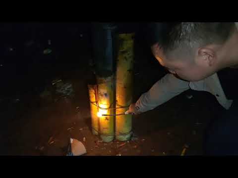 Wizard 3‘’ shell test-Brocade crown to blue