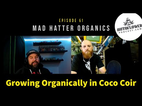 Ep61: Growing Cannabis Organically in Coco Coir with Mad Hatter Organics