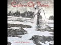 Children Of Bodom - All Twisted