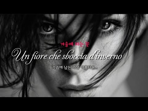 "Un fiore che sboccia d’inverno" - 겨울에 피는 꽂 | 눈감고 들어야 하는 노래 | Italian Version 🎶 