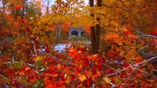 Fall by John Denver