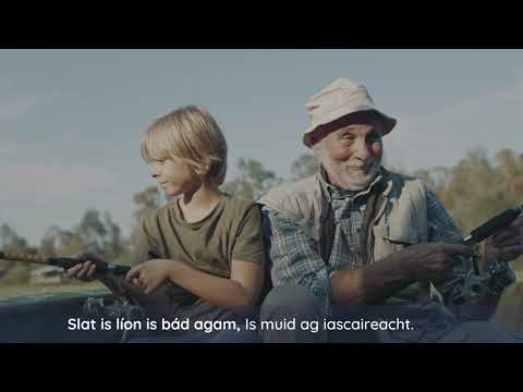 Bradán agus Scadán