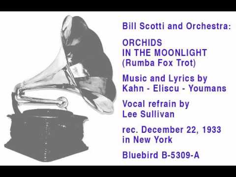 Bill Scotti and Orchestra: Orchids In The Moonlight (Rumba Fox Trot)