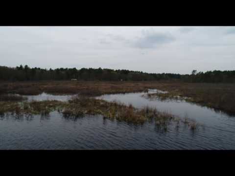 Winnecunnet Pond Flight ~ Norton Mass