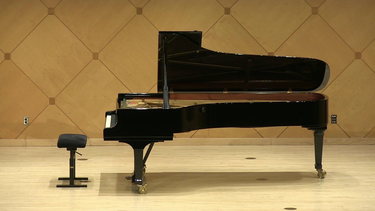 Promotional video thumbnail 2 for Leonard Piano Studio