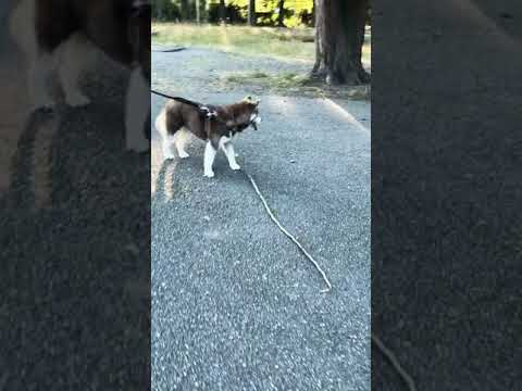 Perfect size for her 😂