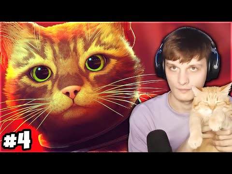 DIDELĖS AKYS - Stray #4