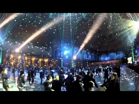Grand Palais - Patinoire