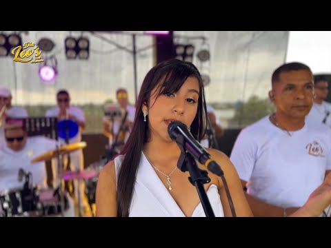 Black Sorrows - D' Leo's and his Orchestra Live