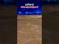Song Bholenath Bhole Harkipauri Haridwar Ganga Gangaaarti Video Trending Trendingshorts Video