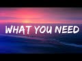 Ashley Sienna - What You Need (Lyrics) Lyrics Video