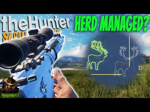 This Modded Server ALMOST Tricked Me... Call of the wild