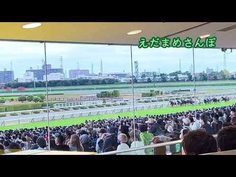 2022.11.20 阪神競馬場 11R マイルチャンピオンシップ