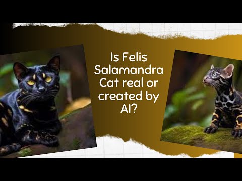 Is Felis Salamandra Cat real or created by AI Amazon Snake Cats